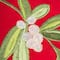 DII® 72" Red Embroidered Mistletoe Corner with Border Table Runner